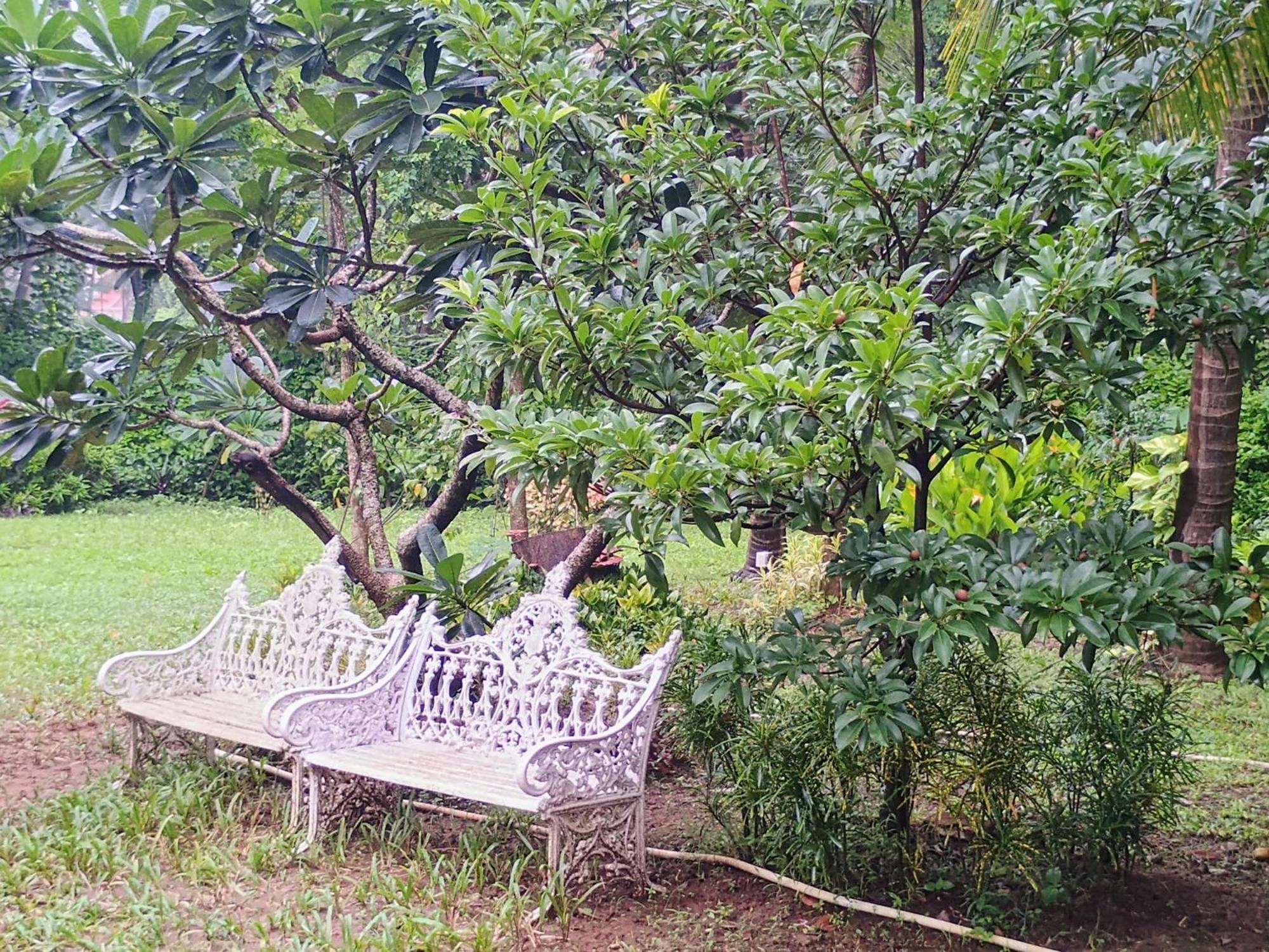 Banyan House - Luxurious 4 Bedroom Villa On One Acre, Near The Beach Нагаон Екстериор снимка